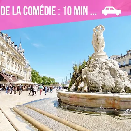 Entière L'escale Montpelliéraine